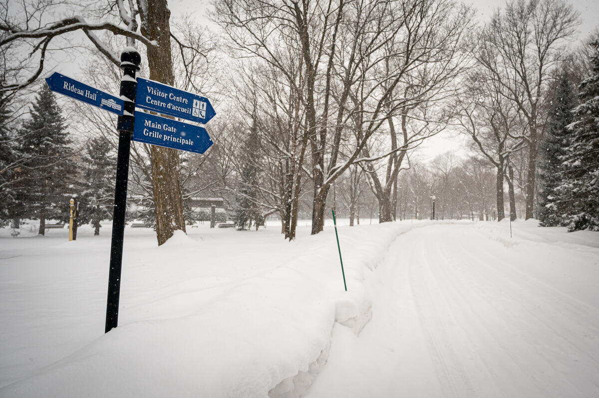 Snow-covered road in a peaceful winter scene, flanked by leafless trees. Blue directional signs point to Rideau Hall, Visitor Centre, and Main Gate.