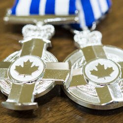 Décorations pour service méritoire (division civile)