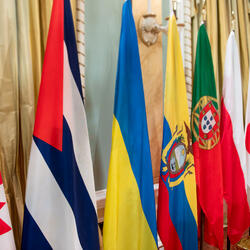 Rangée de drapeaux représentant les pays des ambassadeurs présentant leurs lettres de créance.