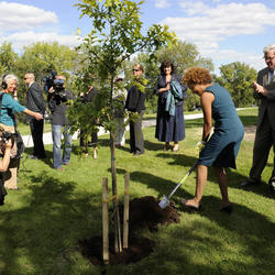 La gouverneure générale Michaëlle Jean plantant un arbre.