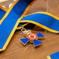 Plusieurs insignes ornés d'un ruban bleu et jaune sur une table en bois. 