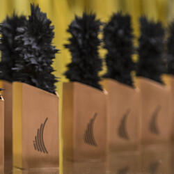 Governor General's Innovation Awards