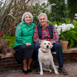 A grey-haired couple is sitting on a bench, surrounded by greenery. A golden labrador is at their feet.
