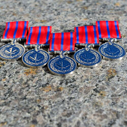 Médaille de la bravoure