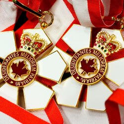 The insignia of the Order is a stylized snowflake of six points, with a red annulus at its centre which bears a stylized maple leaf .
