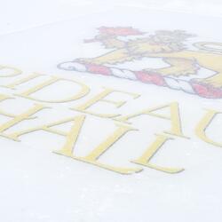 The words "Rideau Hall" and the vice regal lion on an outdoor skating rink.