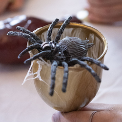 A spider in a goblet. 