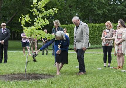 Ceremonial Planting of the Regal Celebration Maple Tree 