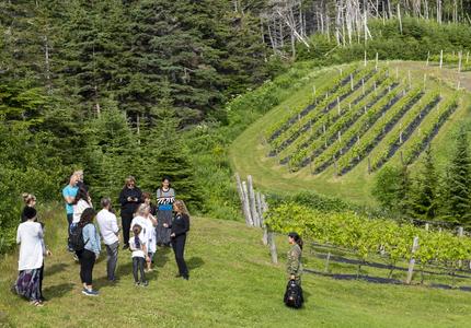 La gouverneure générale s'adressant à un petit groupe de personnes à l'extérieur des vignobles du Domaine des Salanges, des vignes vertes en arrière-plan.