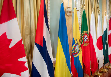 Rangée de drapeaux représentant les pays des ambassadeurs présentant leurs lettres de créance.