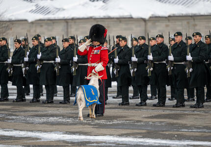 A ceremonial guard is saluting. There is a goat with him and military members behind them.