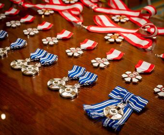 Row of medals on a wooden table.