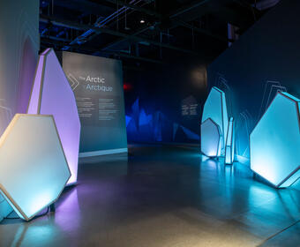 A dimly lit museum exhibit titled "The Arctic." Geometric panels on walls emit cool blue light, creating a serene atmosphere.