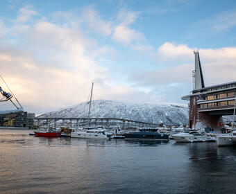 Several boats and yachts are docked in a harbour with modern buildings and a snowy mountain in the background under a partly cloudy sky.