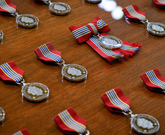 Une rangée de médailles de la Médaille souveraine du bénévolat.