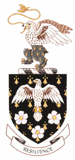 Arms of Udo Hanebaum