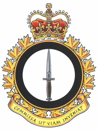 Badge of the Special Operations Forces Branch