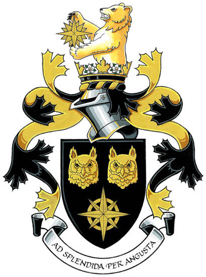 Arms of David Alan Byng