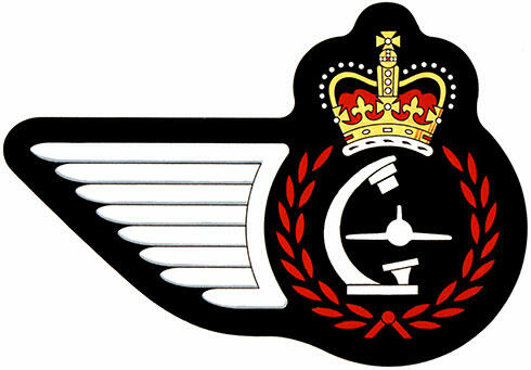 Badge of a Non-Destructive Testing Technician of the Royal Canadian Air Force