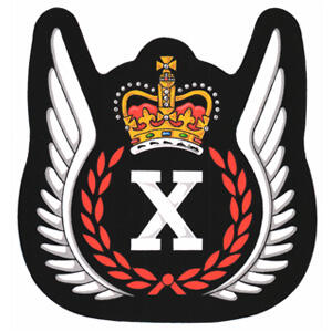Badge of a Flight Test Engineer of the Canadian Armed Forces