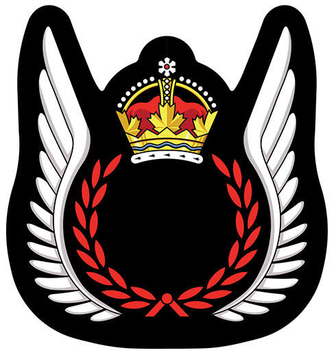 Insigne des Qualifications de l’équipage de vol