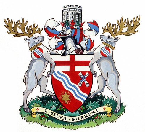 Arms of the Town of Grand Falls-Windsor
