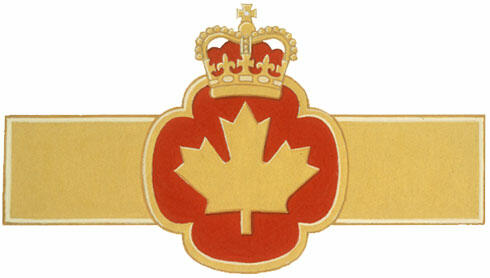 Insignia known as the Minister of Veterans Affairs Commendation
