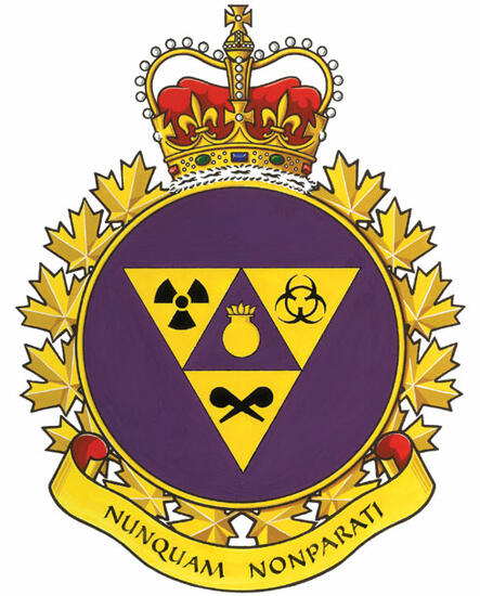 Insigne de la Compagnie interarmées de défense nucléaire, biologique et chimique des Forces canadiennes
