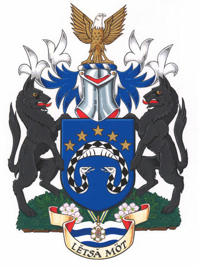 Arms of Steven Lewis Point