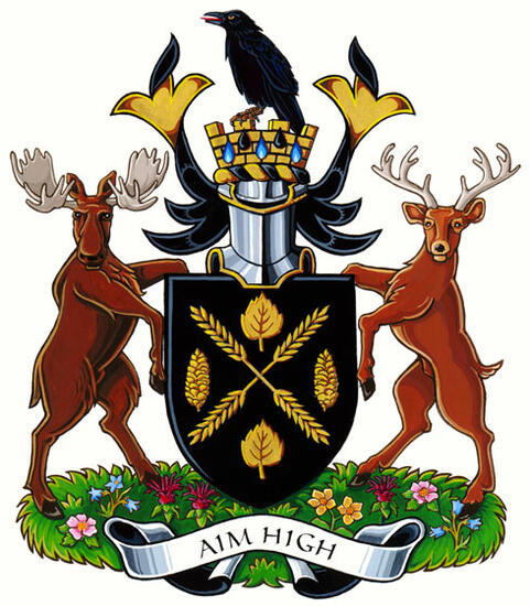 Arms of Town of High Level